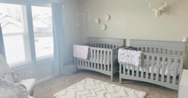 twin nursery design and decor ideas