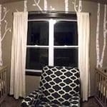 twin nursery design and decor ideas