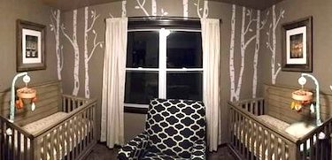 twin nursery design and decor ideas