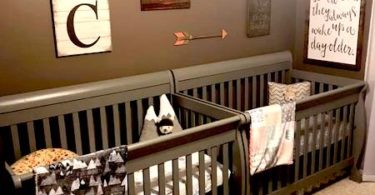 twin nursery design and decor ideas