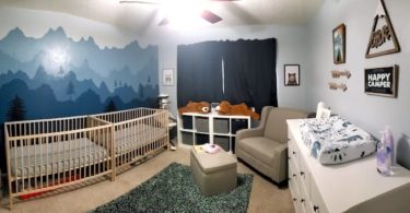 twin nursery design and decor ideas