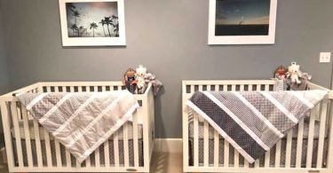 twin nursery design and decor ideas