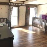 twin nursery design and decor ideas