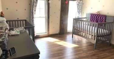 twin nursery design and decor ideas
