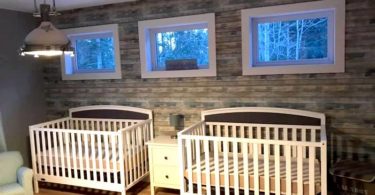 twin nursery design and decor ideas
