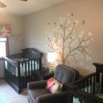 twin nursery design and decor ideas
