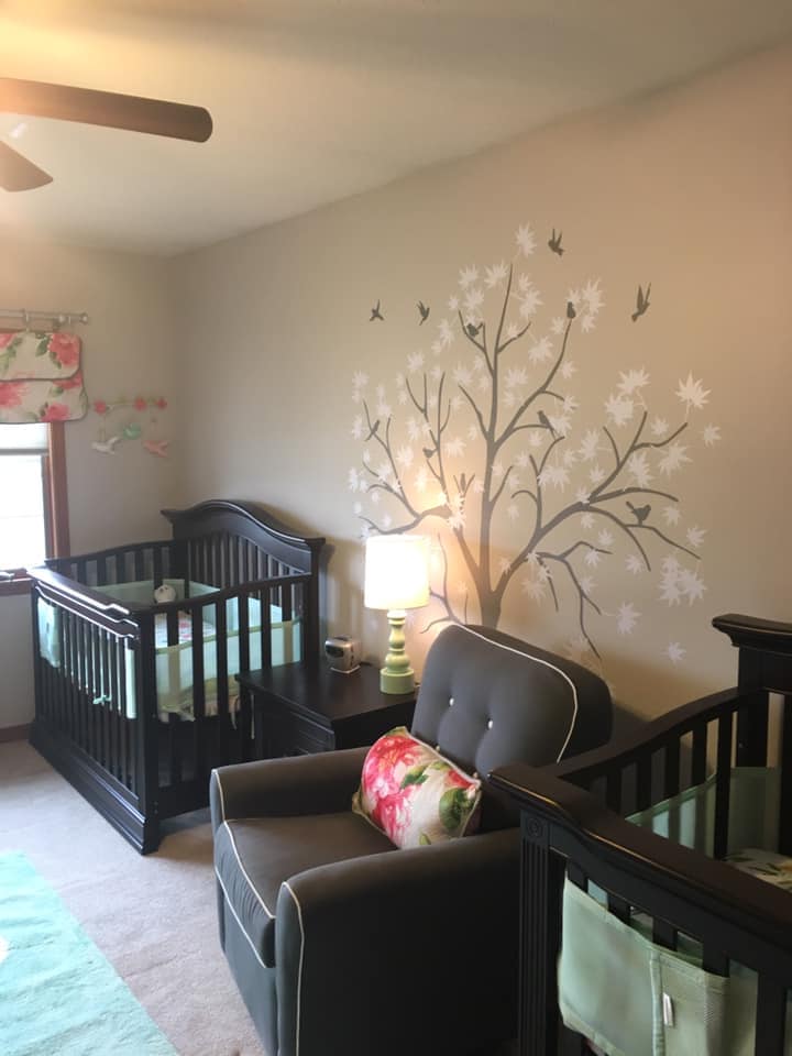 twin nursery design and decor ideas