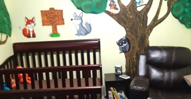 twin nursery design and decor ideas