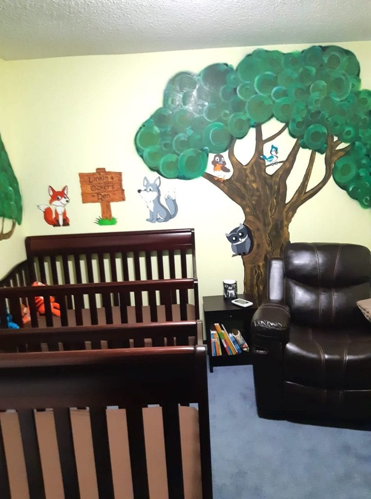 twin nursery design and decor ideas